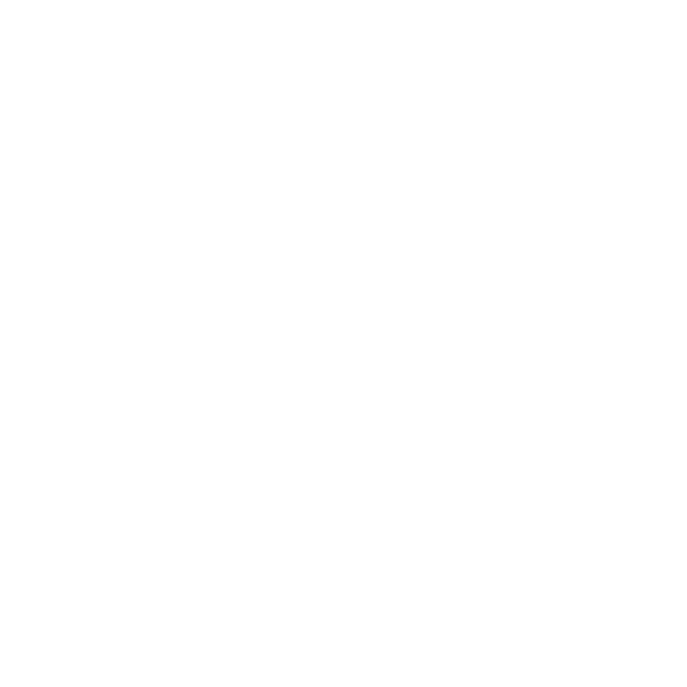 Logo Mr Soulier