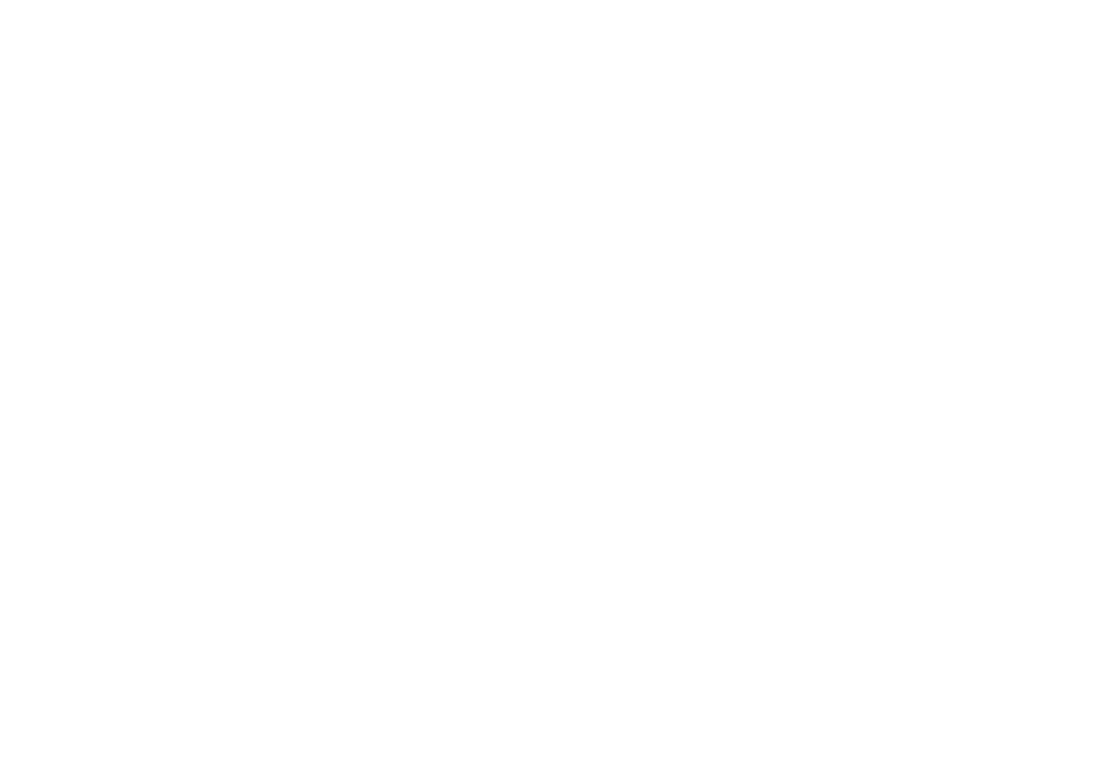 Logo Mr. Soulier